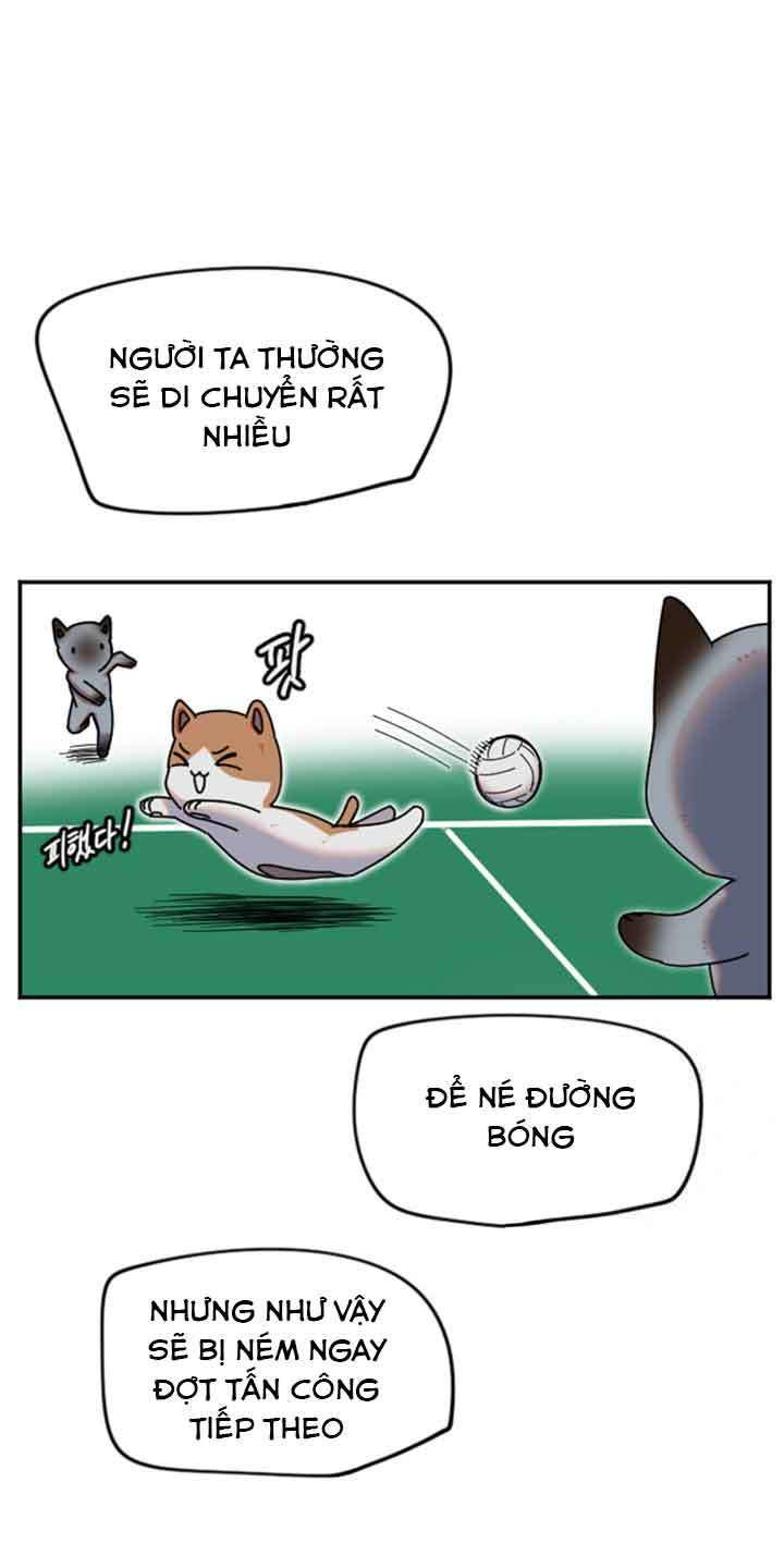 đọc truyện Manitto Chương 5 ảnh 17 tại Thiên Thai Truyện