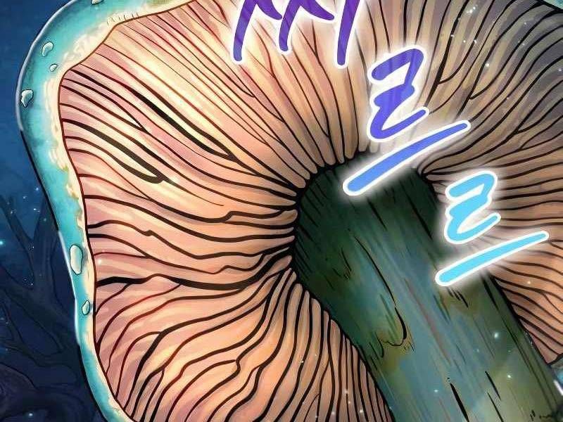 đọc truyện Mạo Hiểm Giả Cuối Cùng Chương 0 ảnh 119 tại Thiên Thai Truyện