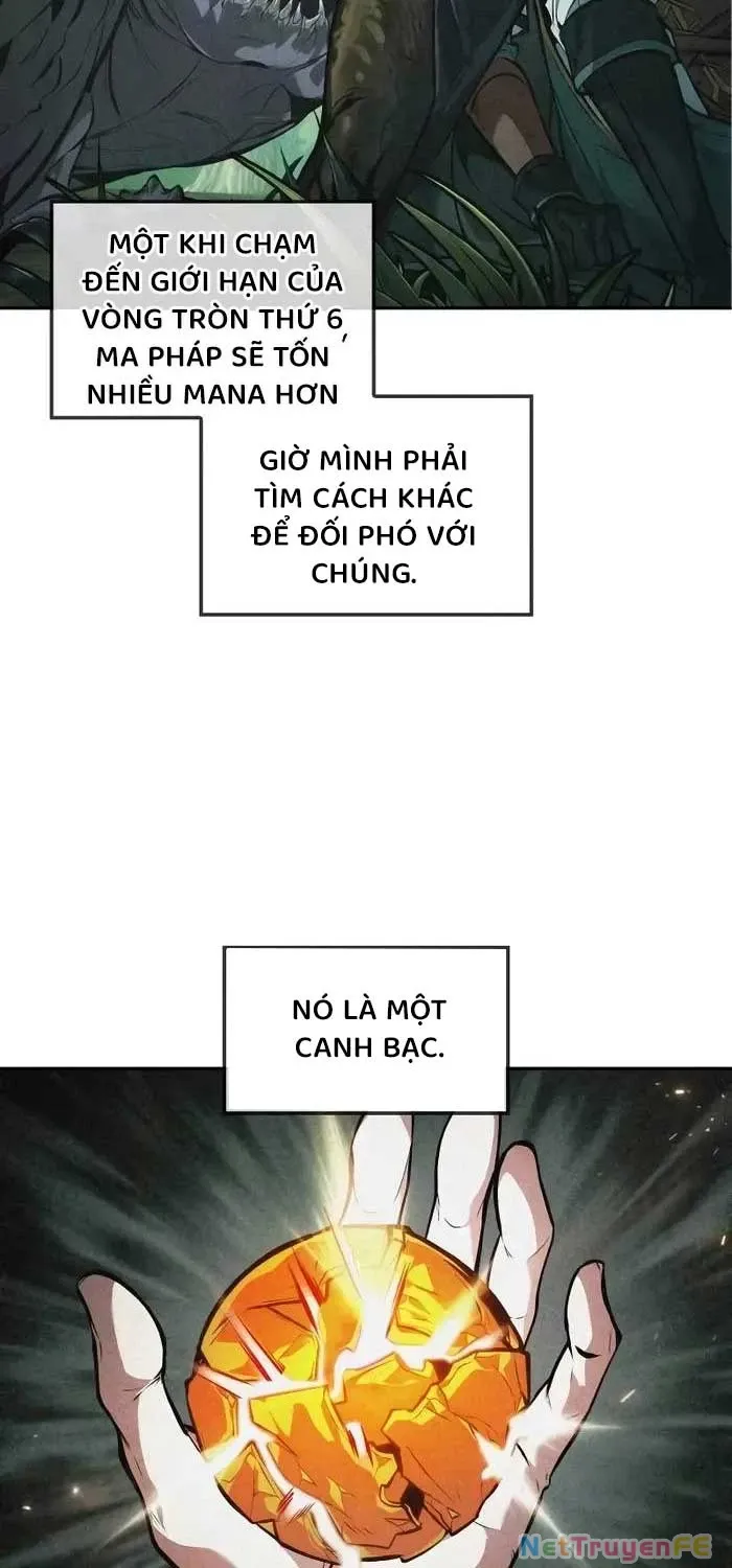 đọc truyện Mạo Hiểm Giả Cuối Cùng Chương 40 ảnh 8 tại Thiên Thai Truyện