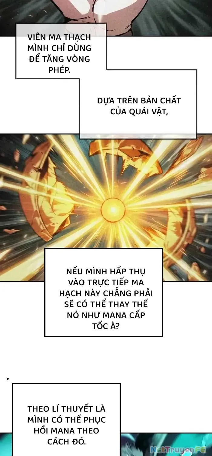 đọc truyện Mạo Hiểm Giả Cuối Cùng Chương 40 ảnh 9 tại Thiên Thai Truyện