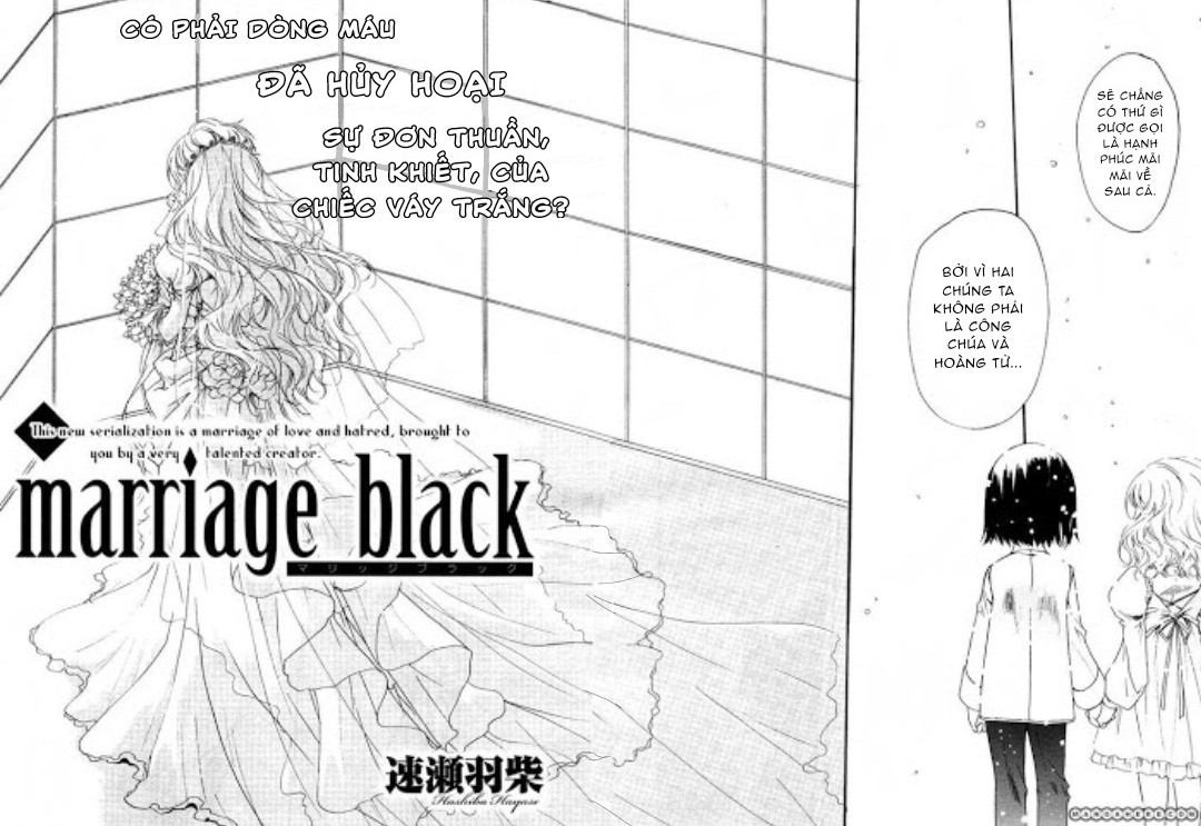 đọc truyện Marriage Black Chương 1 ảnh 3 tại Thiên Thai Truyện