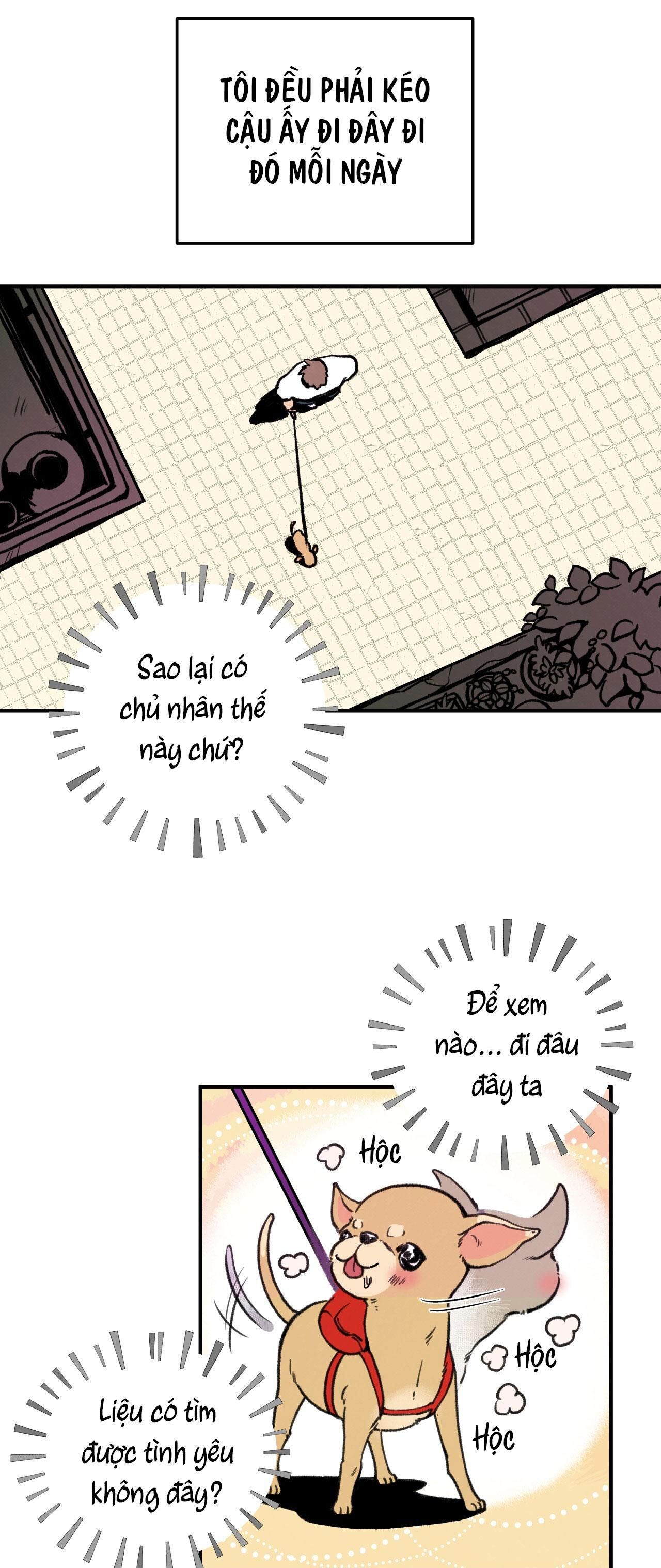 đọc truyện Mật Gấu Chương 1 ảnh 12 tại Thiên Thai Truyện