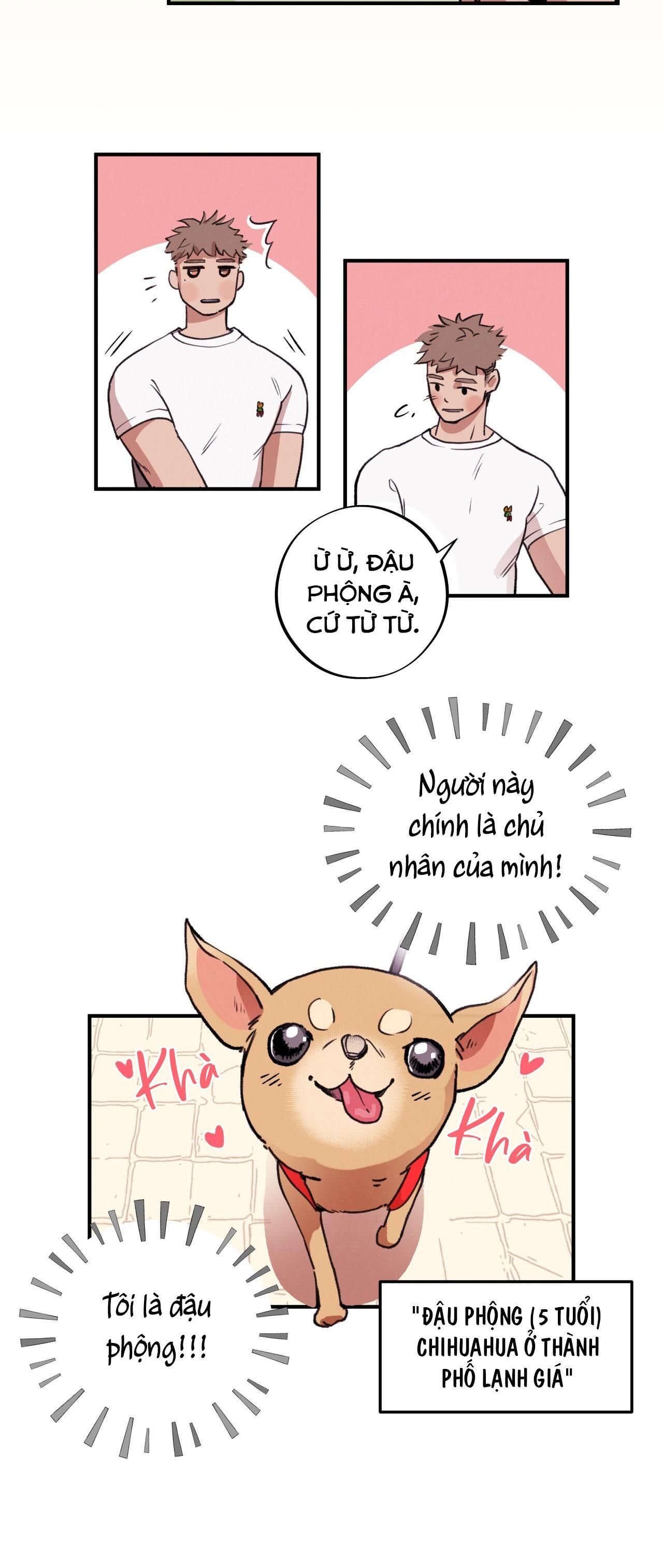 đọc truyện Mật Gấu Chương 1 ảnh 4 tại Thiên Thai Truyện