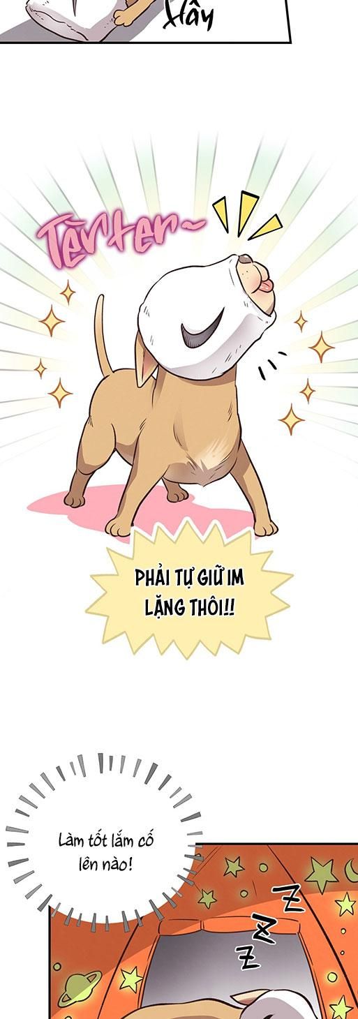 đọc truyện Mật Gấu Chương 26 ảnh 73 tại Thiên Thai Truyện