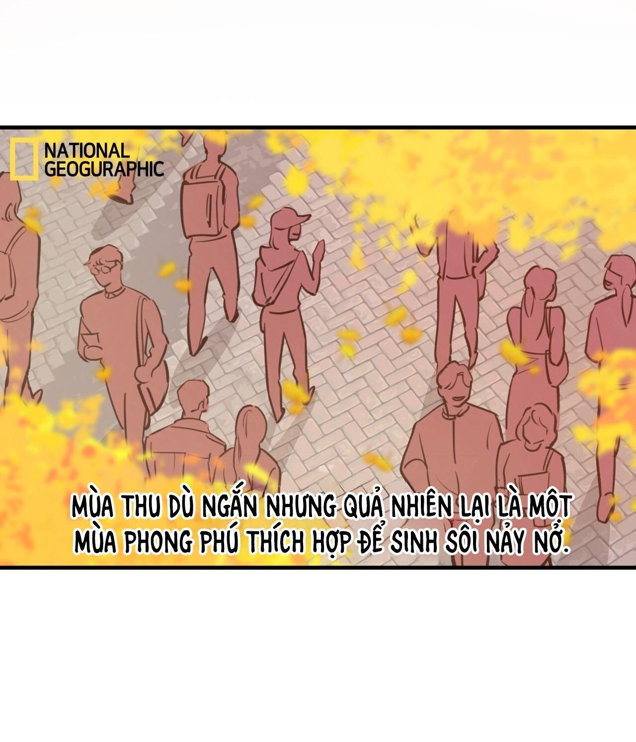 đọc truyện Mật Gấu Chương 31 ảnh 4 tại Thiên Thai Truyện
