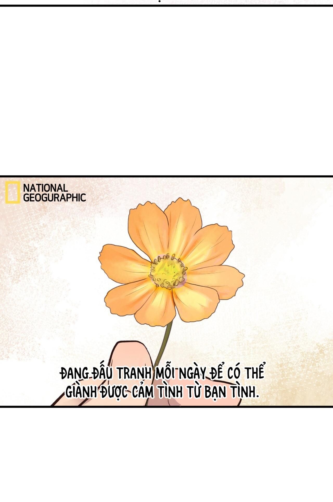 đọc truyện Mật Gấu Chương 31 ảnh 9 tại Thiên Thai Truyện