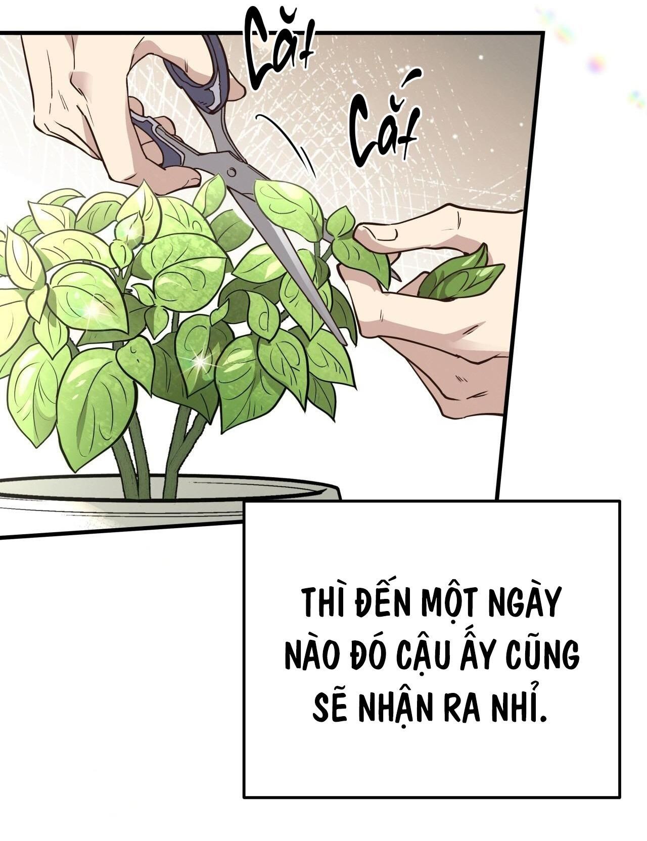 đọc truyện Mật Gấu Chương 52 ảnh 5 tại Thiên Thai Truyện