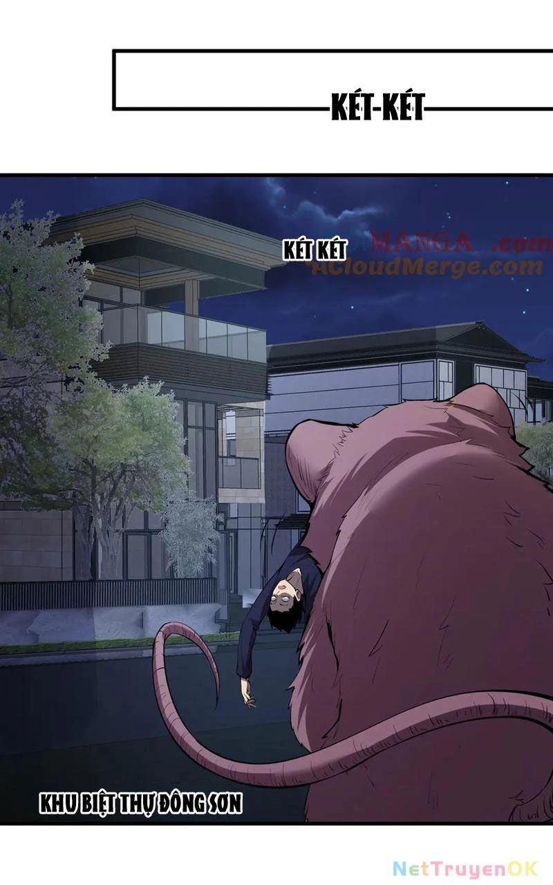 đọc truyện Mạt Nhật Thiên Hạ: Ta, Virus Quân Vương Chương 16 ảnh 5 tại Thiên Thai Truyện