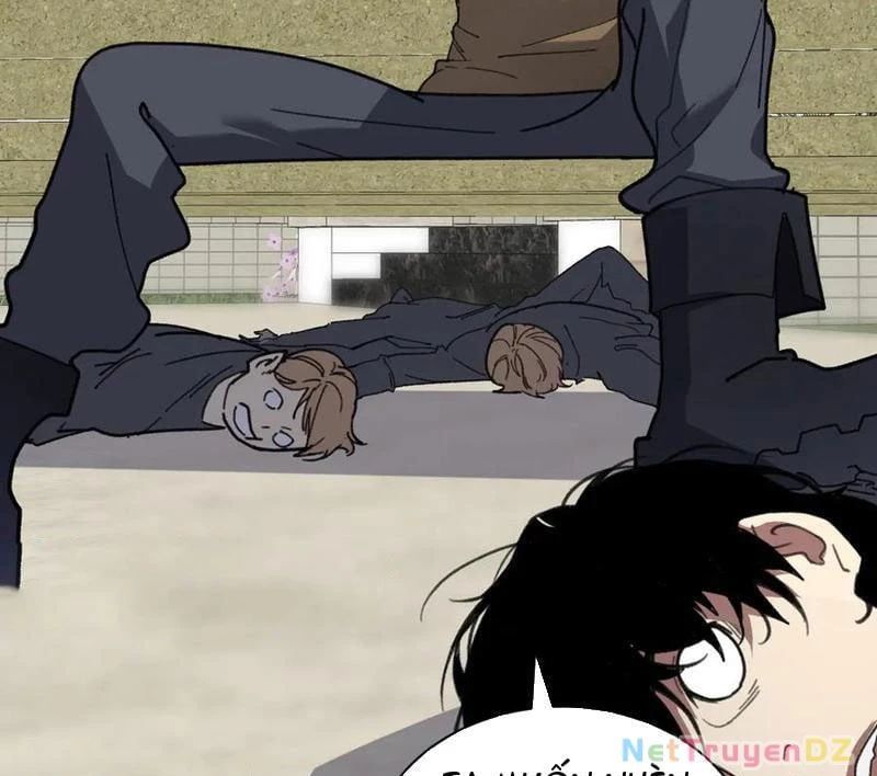 đọc truyện Mạt Nhật Thiên Hạ: Ta, Virus Quân Vương Chương 19 ảnh 17 tại Thiên Thai Truyện