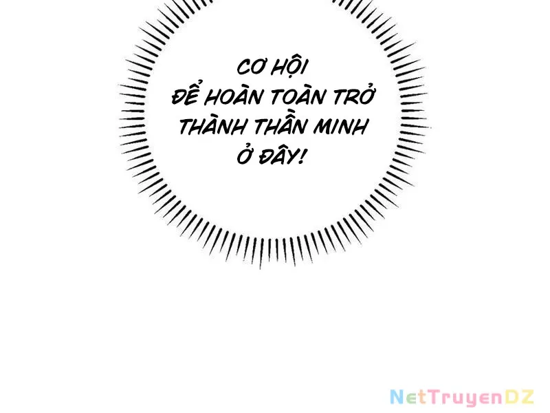 đọc truyện Mạt Nhật Thiên Hạ: Ta, Virus Quân Vương Chương 42 ảnh 110 tại Thiên Thai Truyện