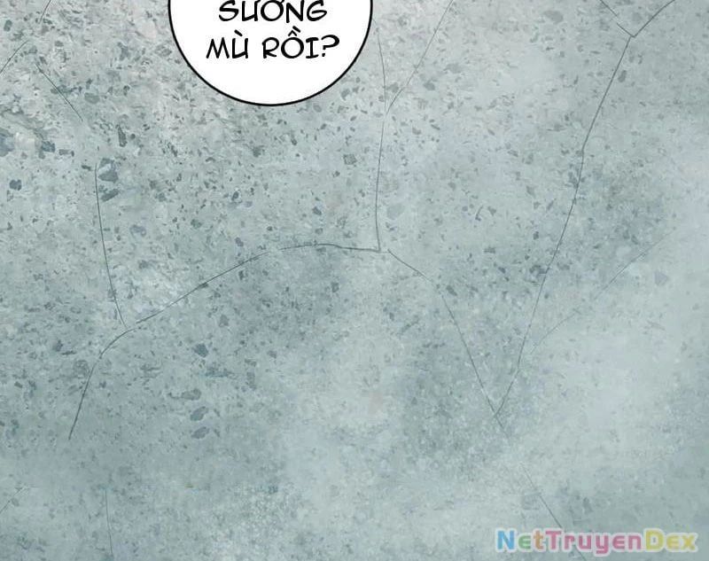 đọc truyện Mạt Nhật Thiên Hạ: Ta, Virus Quân Vương Chương 48 ảnh 11 tại Thiên Thai Truyện