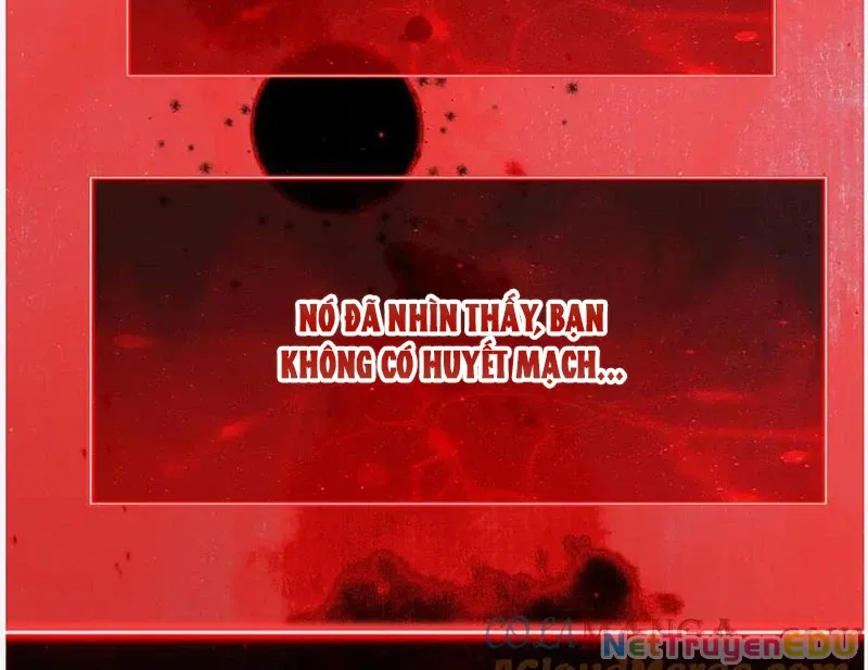 đọc truyện Mạt Nhật Thiên Hạ: Ta, Virus Quân Vương Chương 52 ảnh 63 tại Thiên Thai Truyện