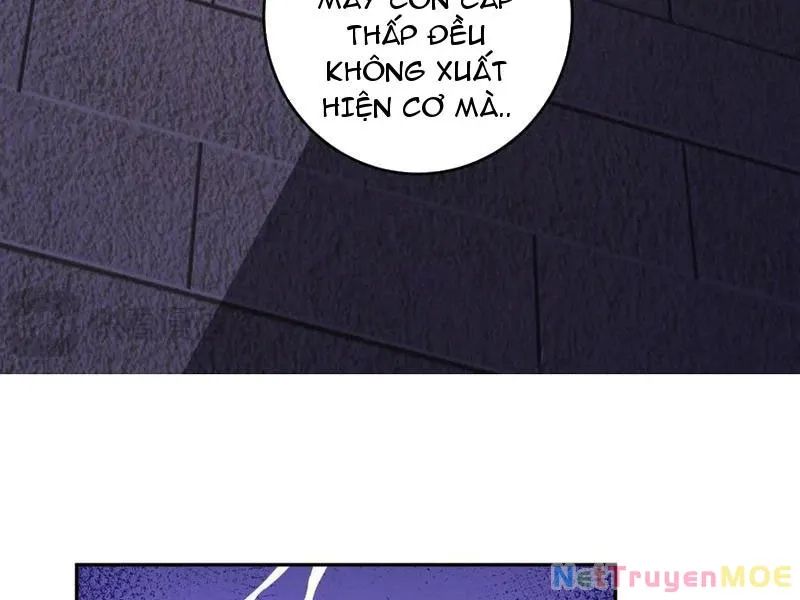 đọc truyện Mạt Nhật Thiên Hạ: Ta, Virus Quân Vương Chương 56 ảnh 115 tại Thiên Thai Truyện