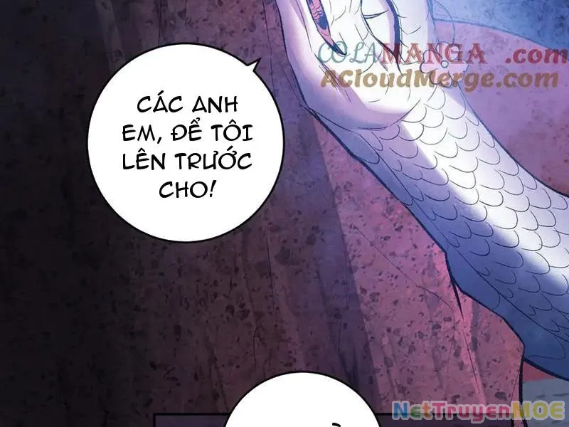 đọc truyện Mạt Nhật Thiên Hạ: Ta, Virus Quân Vương Chương 57 ảnh 102 tại Thiên Thai Truyện