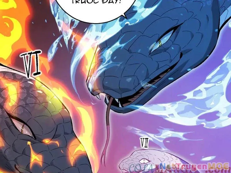 đọc truyện Mạt Nhật Thiên Hạ: Ta, Virus Quân Vương Chương 57 ảnh 127 tại Thiên Thai Truyện