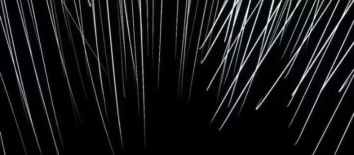 đọc truyện Mạt Nhật Thiên Hạ: Ta, Virus Quân Vương Chương 88 ảnh 71 tại Thiên Thai Truyện