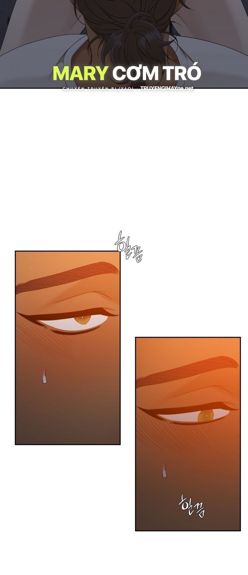 đọc truyện Mắt Phủ Toàn Sương Chương 75.5 ảnh 14 tại Thiên Thai Truyện