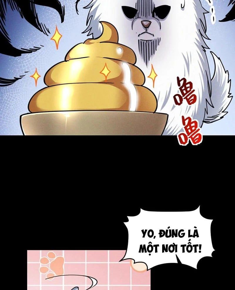 đọc truyện Mạt Thế Cầu Sinh: Ta Có Thể Nhìn Thấy Ẩn Tàng Hệ Thống Chương 78 ảnh 4 tại Thiên Thai Truyện