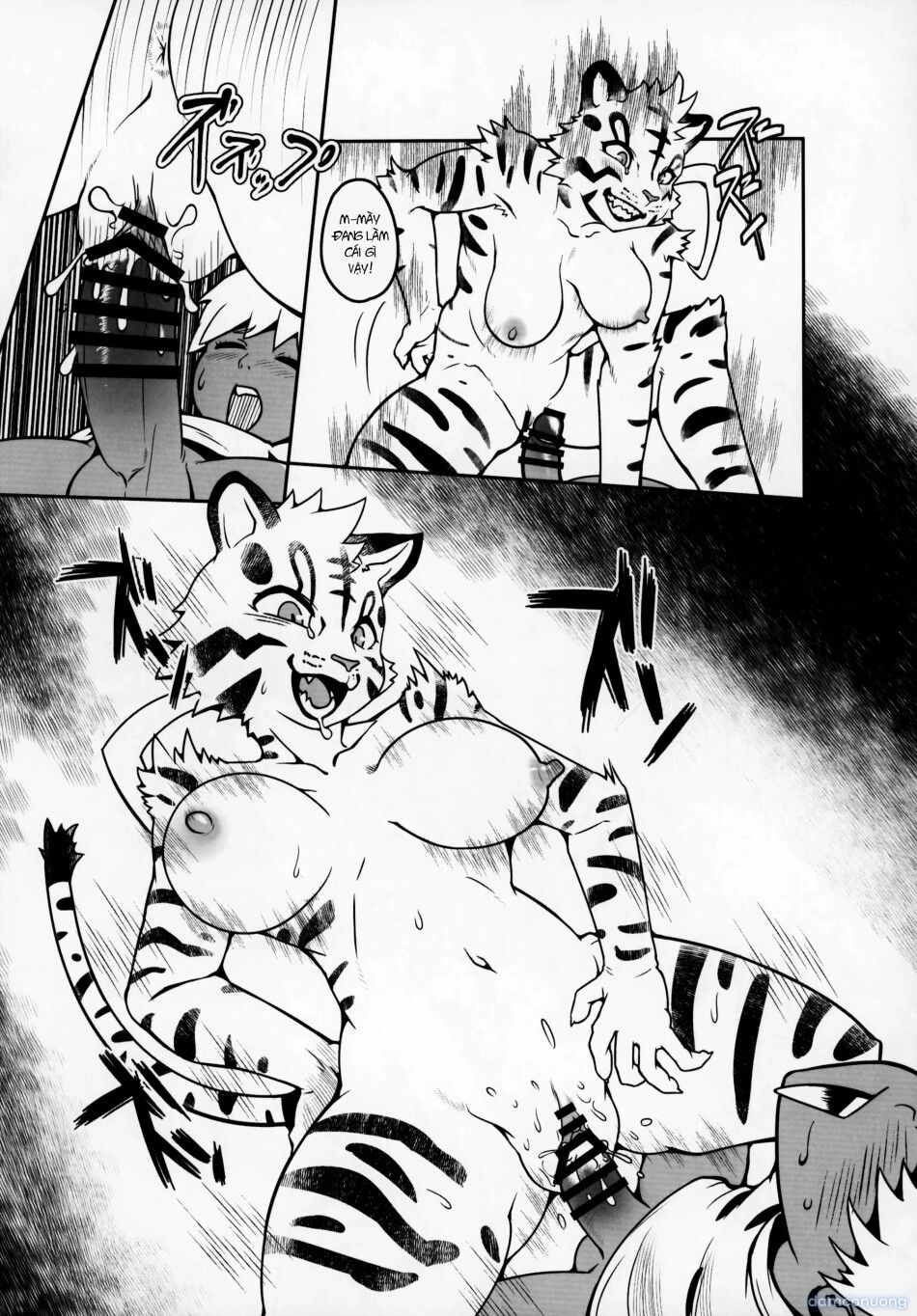 đọc truyện Mặt Trăng Sau Núi Chương 0 ảnh 6 tại Thiên Thai Truyện