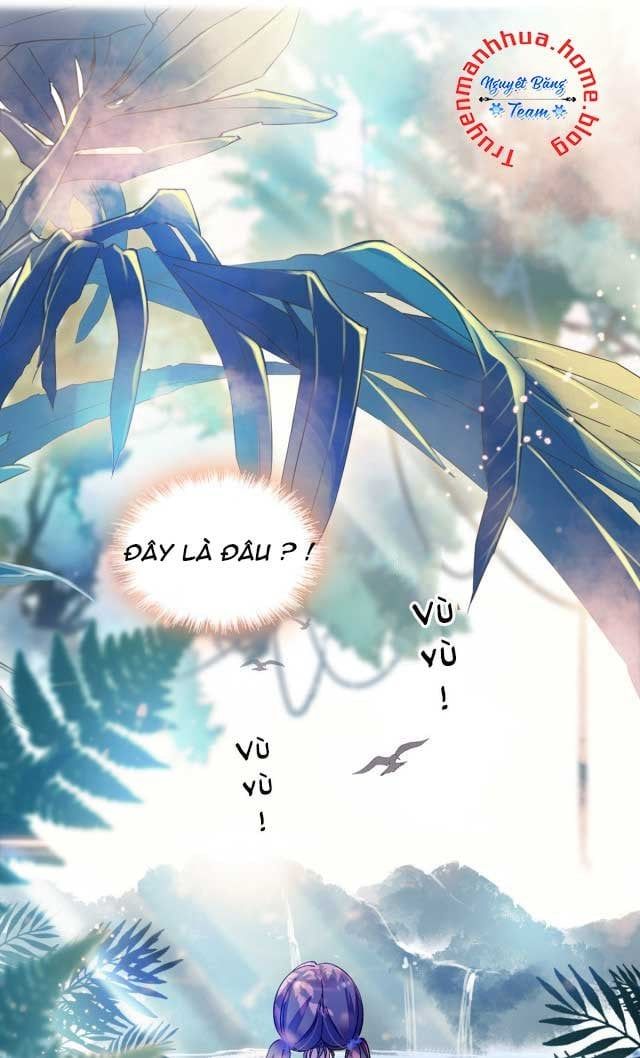 đọc truyện Mau Chạy !! Nam Thần Thú Thế Đến Truy Thê Chương 1 ảnh 13 tại Thiên Thai Truyện