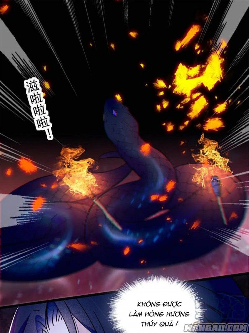 đọc truyện Mau Chạy !! Nam Thần Thú Thế Đến Truy Thê Chương 100 ảnh 23 tại Thiên Thai Truyện