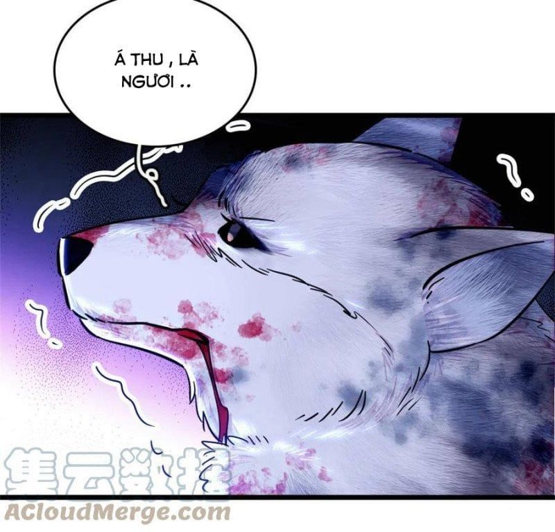 đọc truyện Mau Chạy !! Nam Thần Thú Thế Đến Truy Thê Chương 106 ảnh 13 tại Thiên Thai Truyện