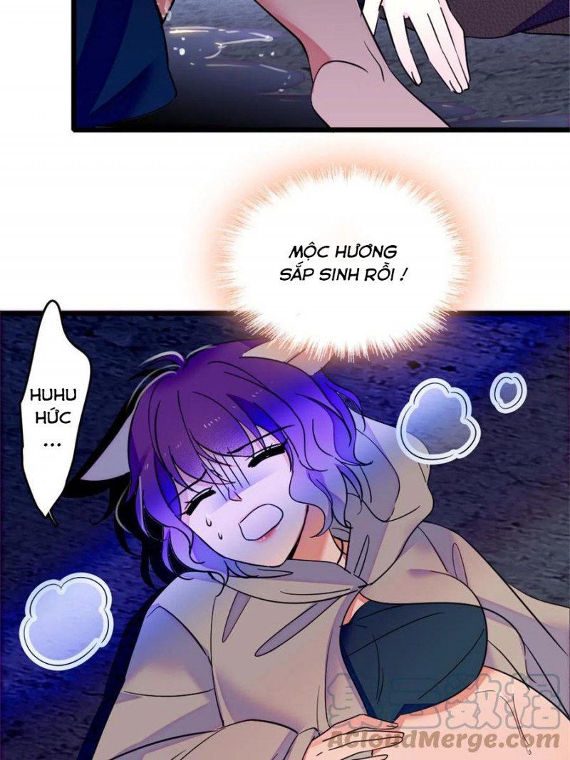 đọc truyện Mau Chạy !! Nam Thần Thú Thế Đến Truy Thê Chương 106 ảnh 23 tại Thiên Thai Truyện