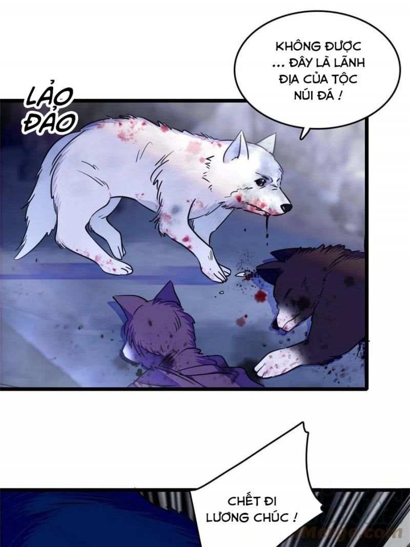 đọc truyện Mau Chạy !! Nam Thần Thú Thế Đến Truy Thê Chương 106 ảnh 10 tại Thiên Thai Truyện