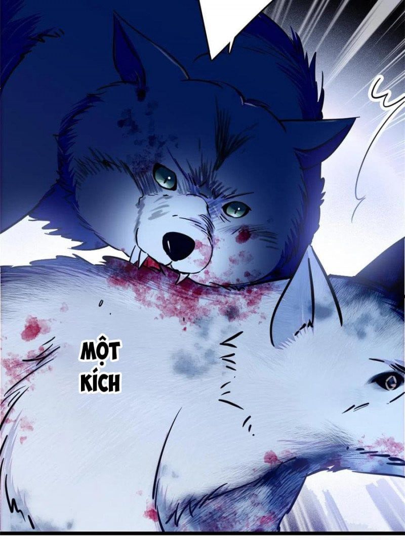 đọc truyện Mau Chạy !! Nam Thần Thú Thế Đến Truy Thê Chương 106 ảnh 11 tại Thiên Thai Truyện