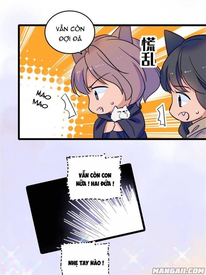 đọc truyện Mau Chạy !! Nam Thần Thú Thế Đến Truy Thê Chương 107 ảnh 15 tại Thiên Thai Truyện