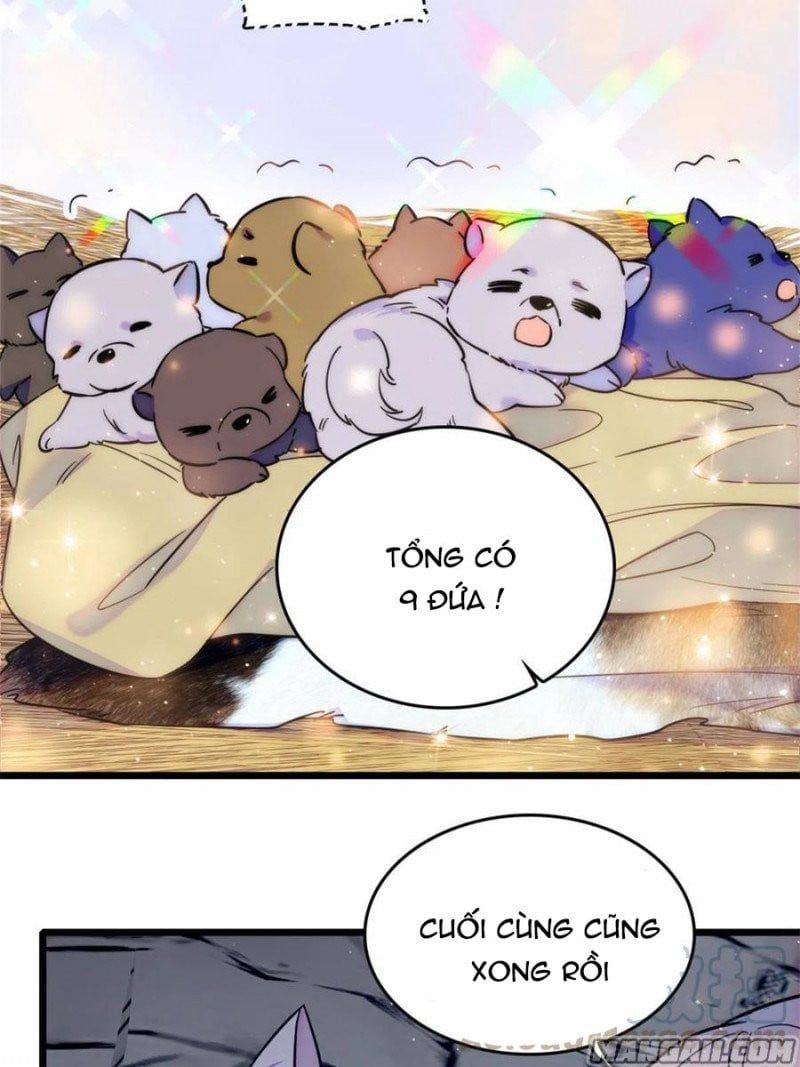 đọc truyện Mau Chạy !! Nam Thần Thú Thế Đến Truy Thê Chương 107 ảnh 16 tại Thiên Thai Truyện