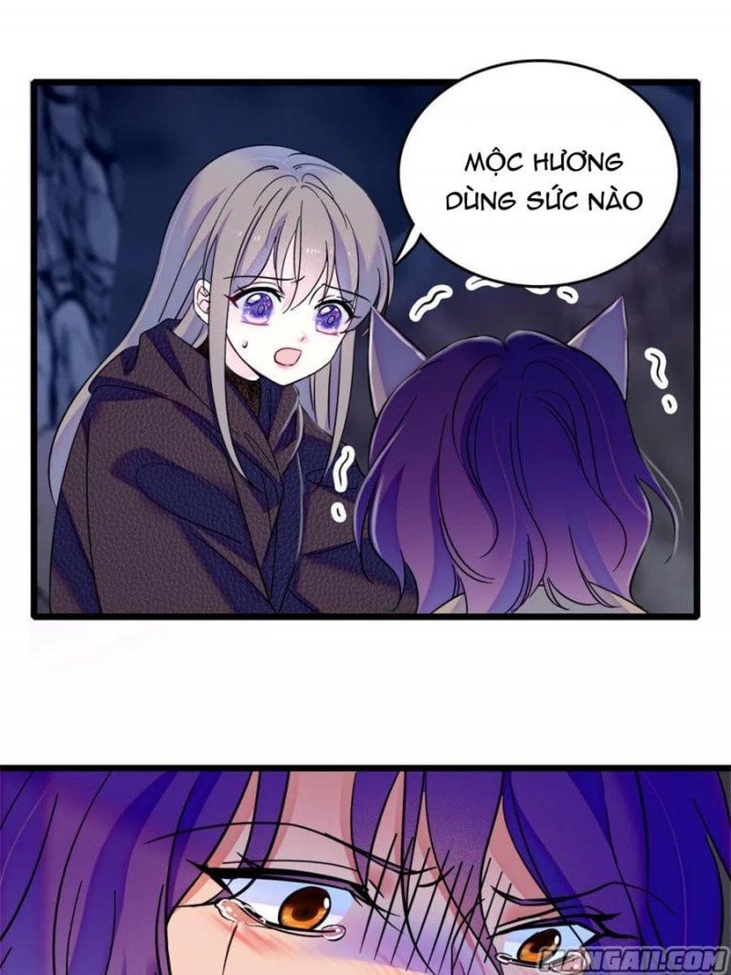 đọc truyện Mau Chạy !! Nam Thần Thú Thế Đến Truy Thê Chương 107 ảnh 11 tại Thiên Thai Truyện