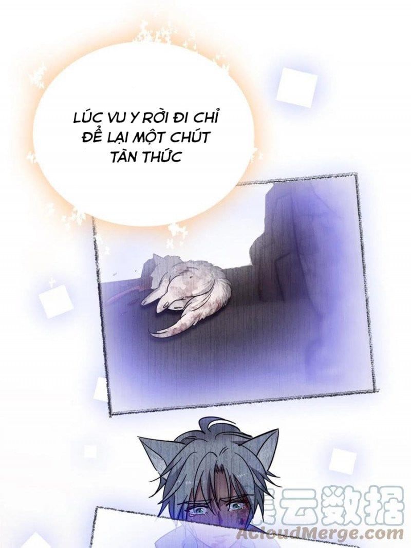 đọc truyện Mau Chạy !! Nam Thần Thú Thế Đến Truy Thê Chương 109 ảnh 17 tại Thiên Thai Truyện