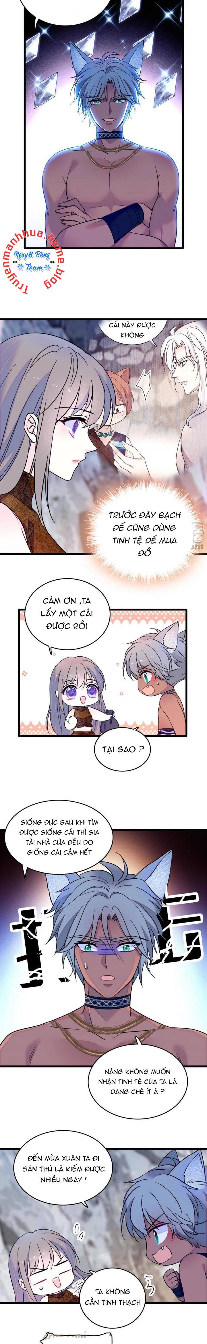 đọc truyện Mau Chạy !! Nam Thần Thú Thế Đến Truy Thê Chương 114 ảnh 4 tại Thiên Thai Truyện