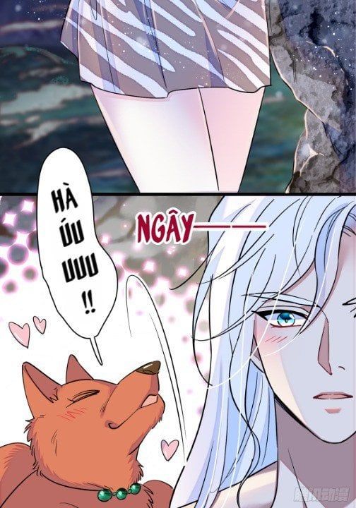 đọc truyện Mau Chạy !! Nam Thần Thú Thế Đến Truy Thê Chương 15 ảnh 4 tại Thiên Thai Truyện