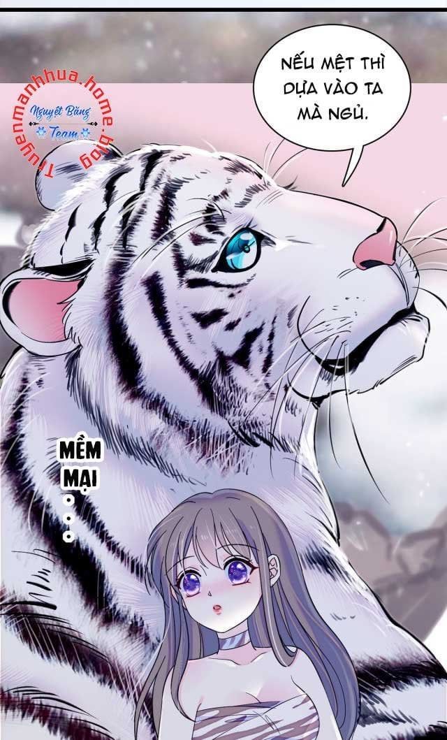 đọc truyện Mau Chạy !! Nam Thần Thú Thế Đến Truy Thê Chương 19 ảnh 7 tại Thiên Thai Truyện