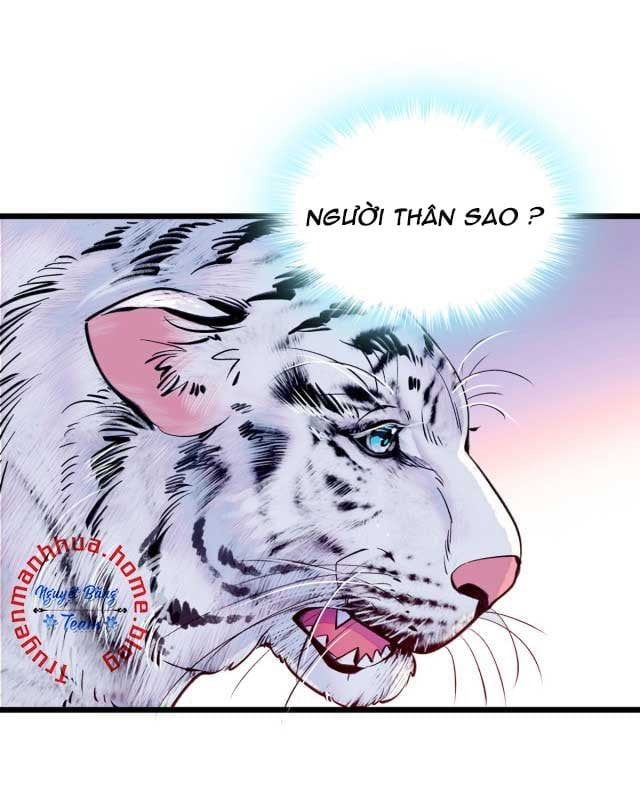 đọc truyện Mau Chạy !! Nam Thần Thú Thế Đến Truy Thê Chương 19 ảnh 11 tại Thiên Thai Truyện