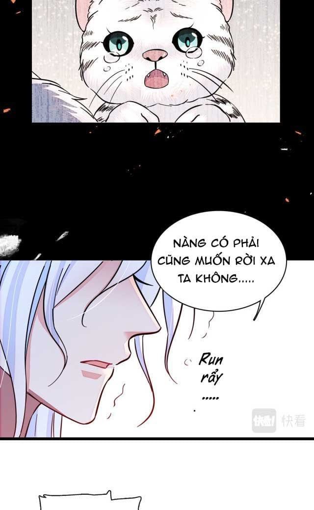 đọc truyện Mau Chạy !! Nam Thần Thú Thế Đến Truy Thê Chương 20 ảnh 13 tại Thiên Thai Truyện