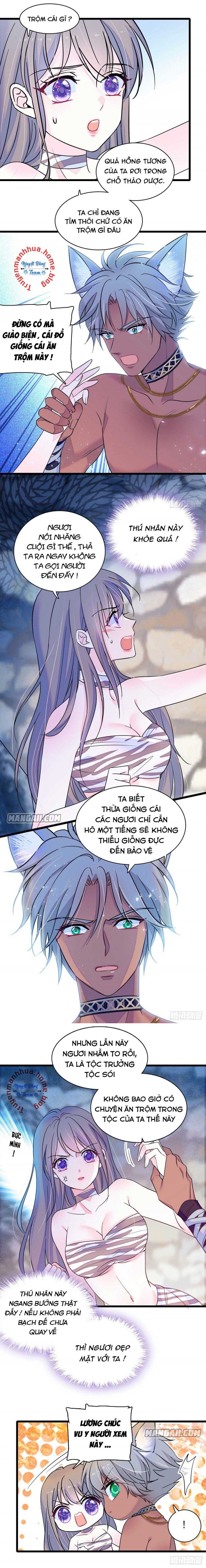 đọc truyện Mau Chạy !! Nam Thần Thú Thế Đến Truy Thê Chương 25 ảnh 3 tại Thiên Thai Truyện