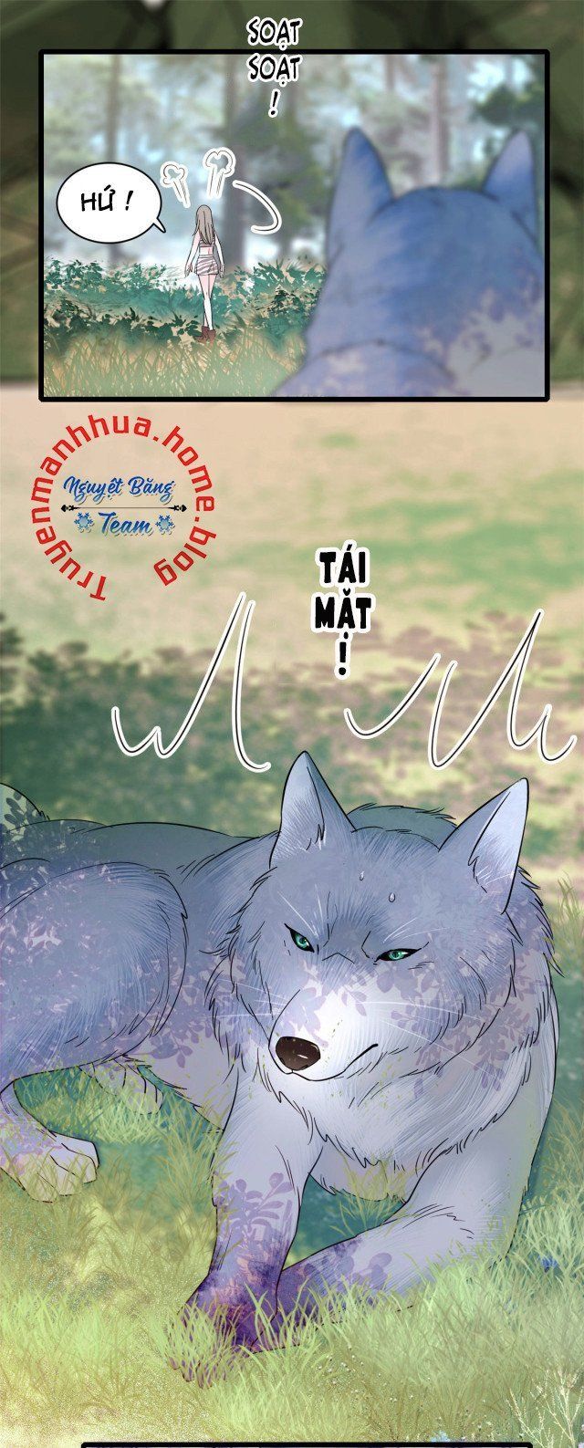 đọc truyện Mau Chạy !! Nam Thần Thú Thế Đến Truy Thê Chương 36 ảnh 7 tại Thiên Thai Truyện