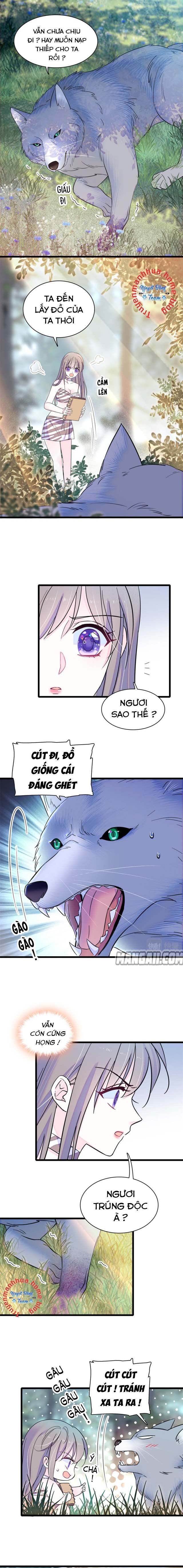 đọc truyện Mau Chạy !! Nam Thần Thú Thế Đến Truy Thê Chương 37 ảnh 3 tại Thiên Thai Truyện