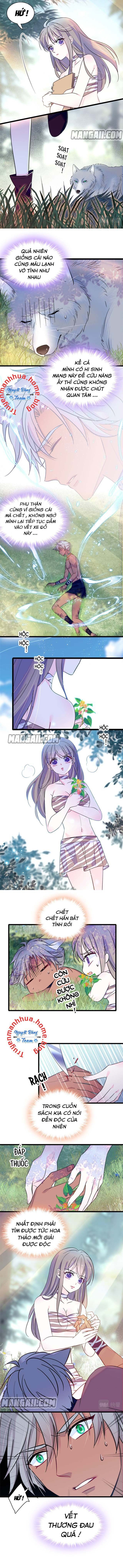 đọc truyện Mau Chạy !! Nam Thần Thú Thế Đến Truy Thê Chương 37 ảnh 4 tại Thiên Thai Truyện