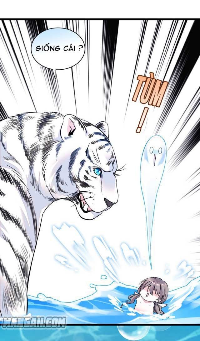 đọc truyện Mau Chạy !! Nam Thần Thú Thế Đến Truy Thê Chương 4 ảnh 13 tại Thiên Thai Truyện