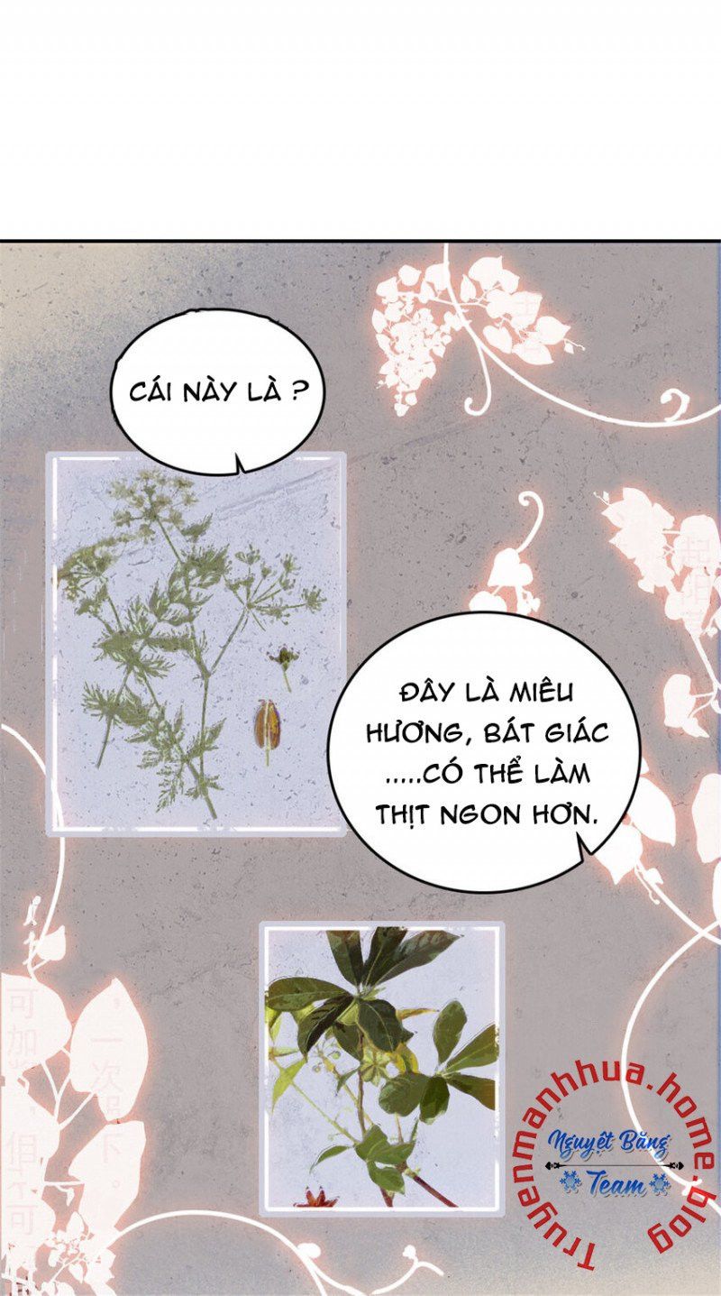 đọc truyện Mau Chạy !! Nam Thần Thú Thế Đến Truy Thê Chương 45 ảnh 14 tại Thiên Thai Truyện