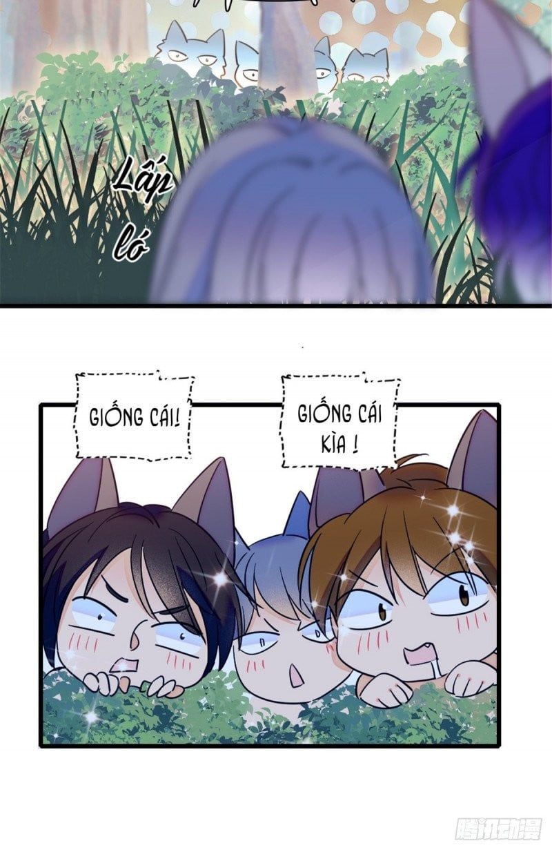 đọc truyện Mau Chạy !! Nam Thần Thú Thế Đến Truy Thê Chương 47 ảnh 16 tại Thiên Thai Truyện