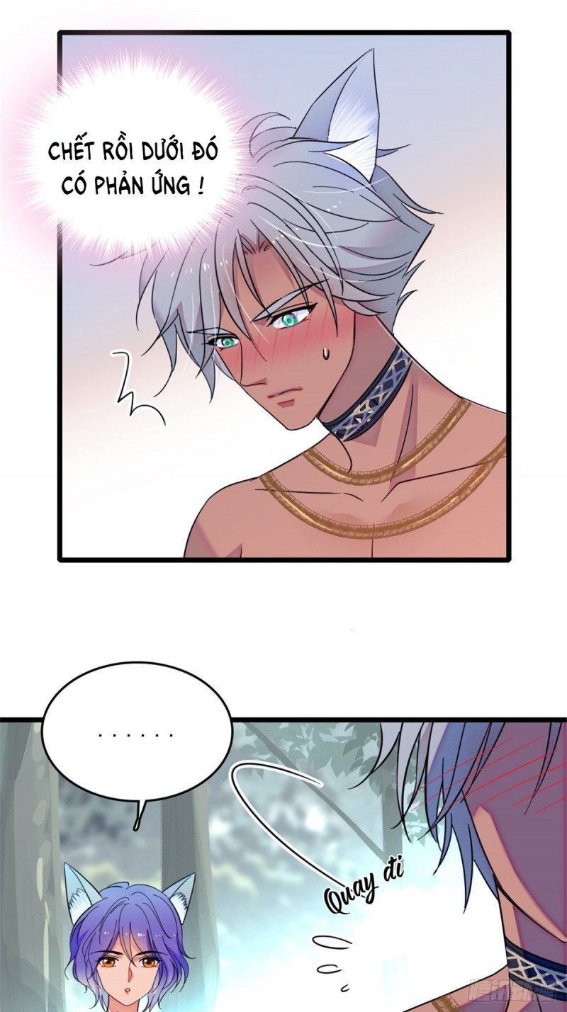 đọc truyện Mau Chạy !! Nam Thần Thú Thế Đến Truy Thê Chương 48 ảnh 16 tại Thiên Thai Truyện