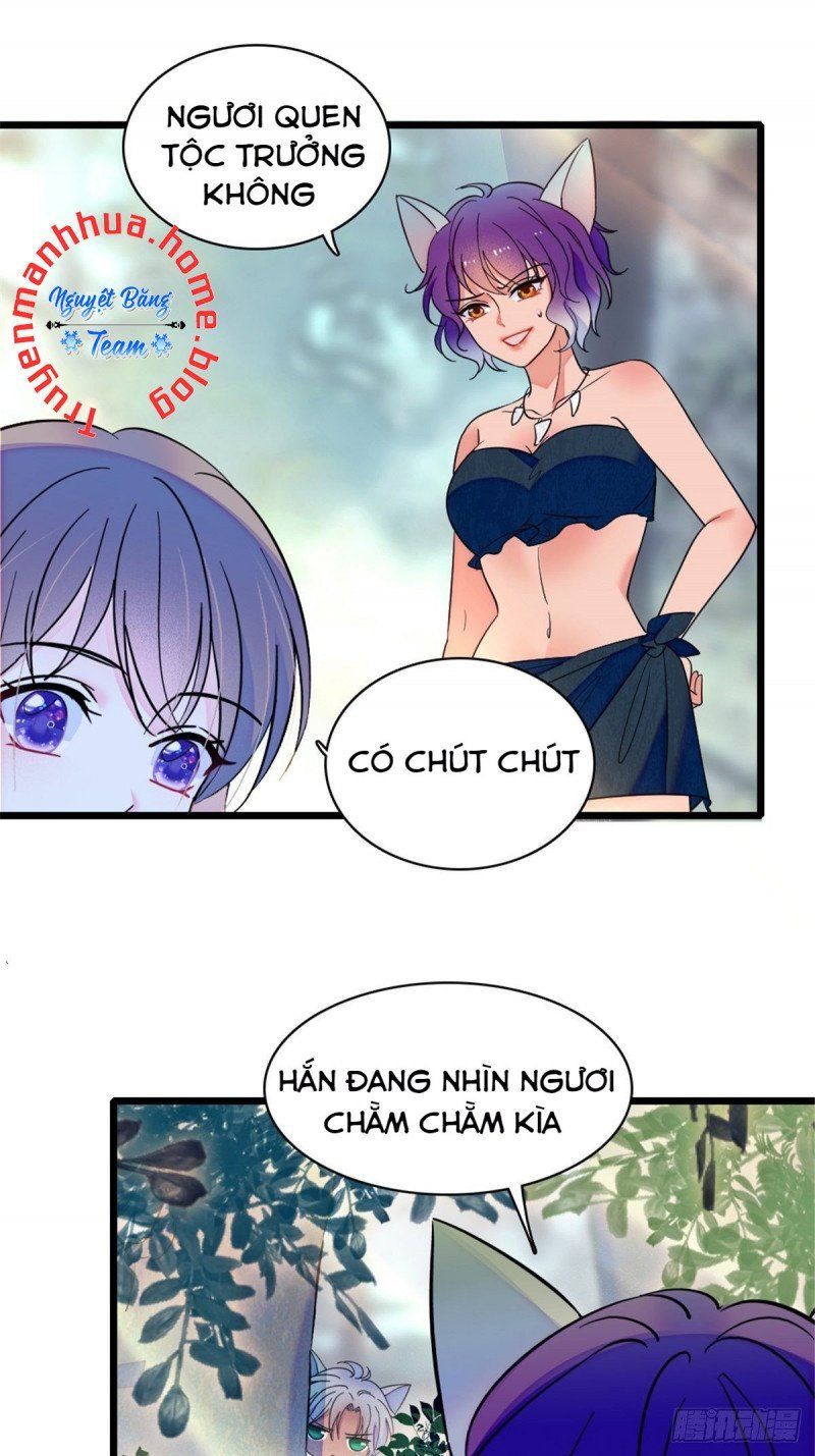 đọc truyện Mau Chạy !! Nam Thần Thú Thế Đến Truy Thê Chương 48 ảnh 9 tại Thiên Thai Truyện