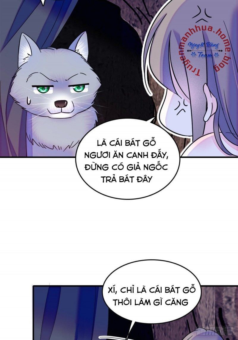 đọc truyện Mau Chạy !! Nam Thần Thú Thế Đến Truy Thê Chương 49 ảnh 16 tại Thiên Thai Truyện