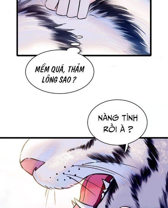 đọc truyện Mau Chạy !! Nam Thần Thú Thế Đến Truy Thê Chương 5 ảnh 4 tại Thiên Thai Truyện