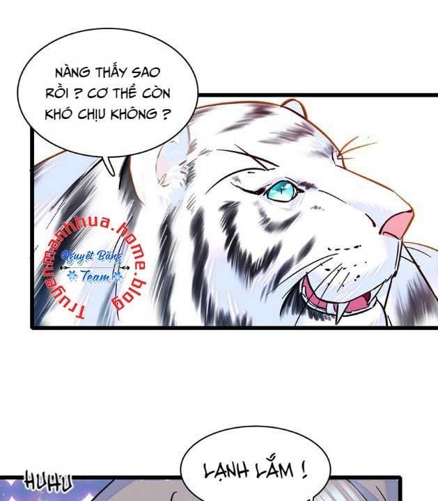 đọc truyện Mau Chạy !! Nam Thần Thú Thế Đến Truy Thê Chương 5 ảnh 7 tại Thiên Thai Truyện